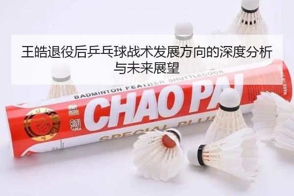 王皓退役后乒乓球战术发展方向的深度分析与未来展望